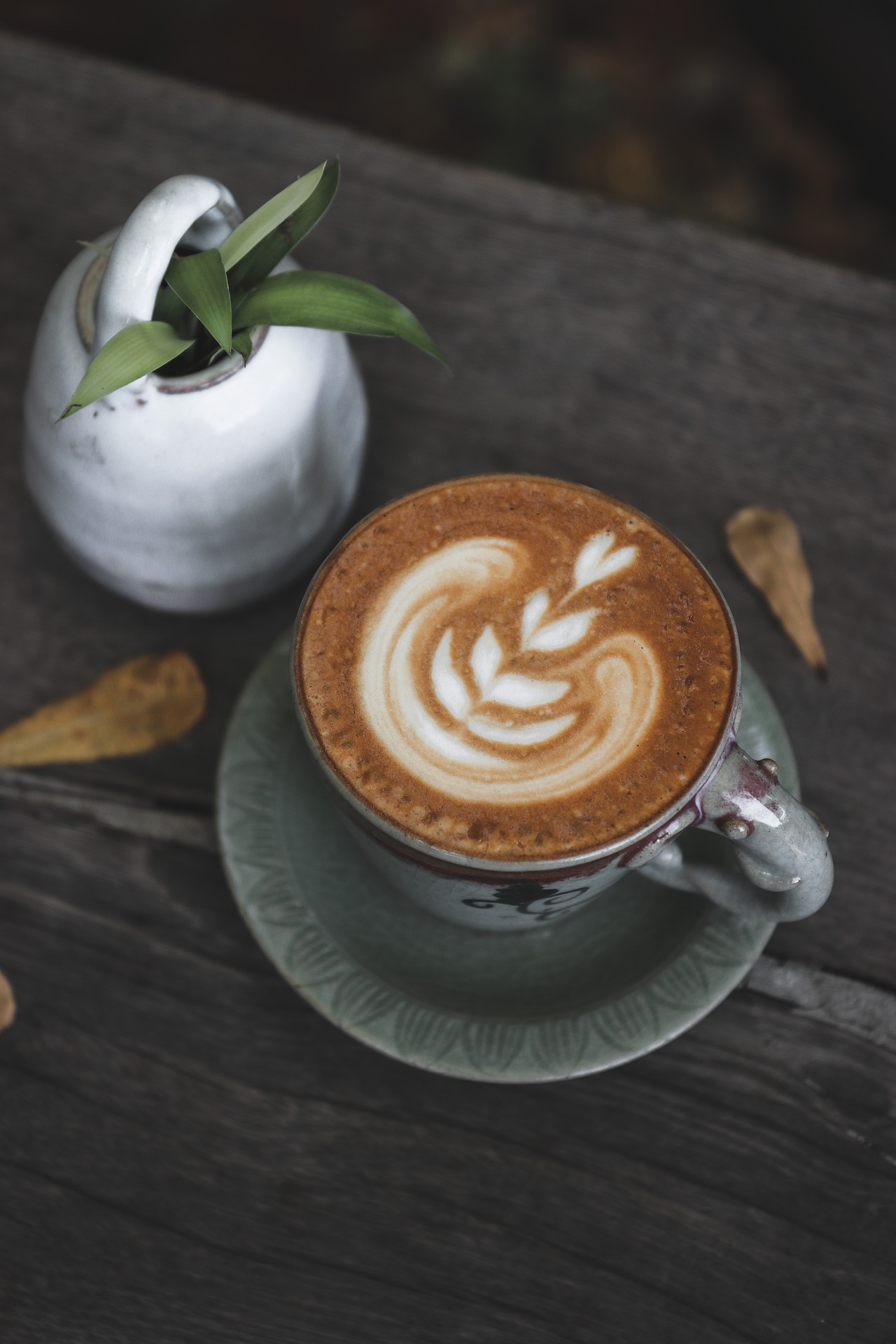 mocha